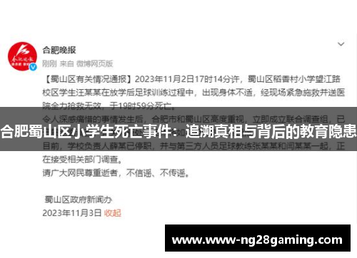 合肥蜀山区小学生死亡事件：追溯真相与背后的教育隐患