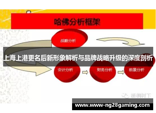 上海上港更名后新形象解析与品牌战略升级的深度剖析