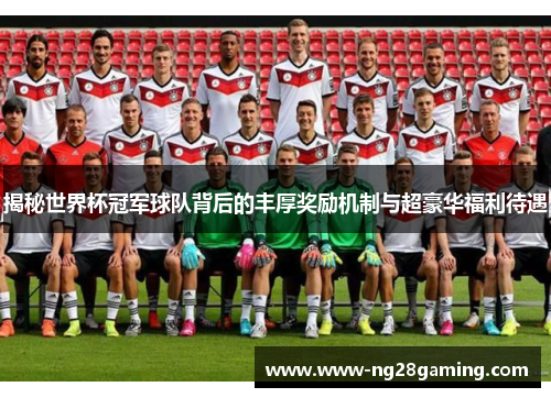 揭秘世界杯冠军球队背后的丰厚奖励机制与超豪华福利待遇