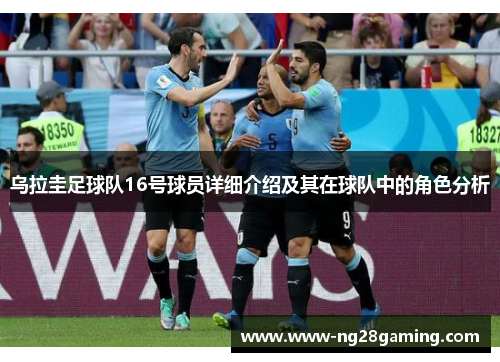 乌拉圭足球队16号球员详细介绍及其在球队中的角色分析
