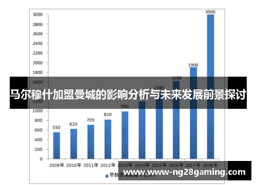 马尔穆什加盟曼城的影响分析与未来发展前景探讨