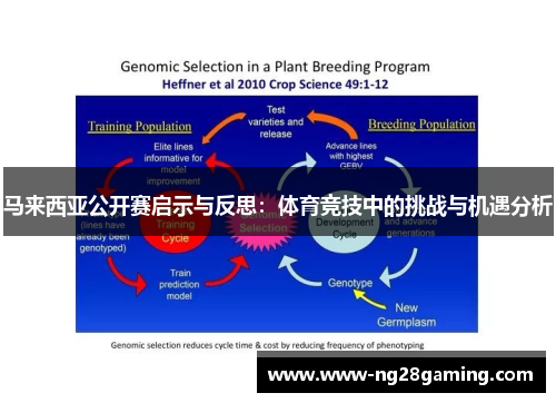 马来西亚公开赛启示与反思:体育竞技中的挑战与机遇分析 马来西亚公开赛启示与反思:体育竞技中的挑战与机遇分析