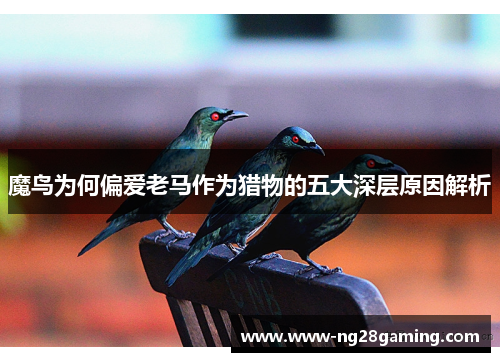 魔鸟为何偏爱老马作为猎物的五大深层原因解析