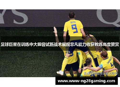 足球巨星在训练中大胆尝试新战术展现非凡能力收获教练高度赞赏